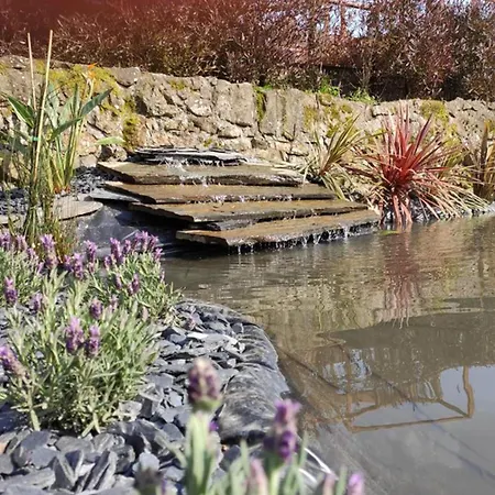 Fulao Nature Living Barcelos